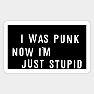 I Was Punk Magnet